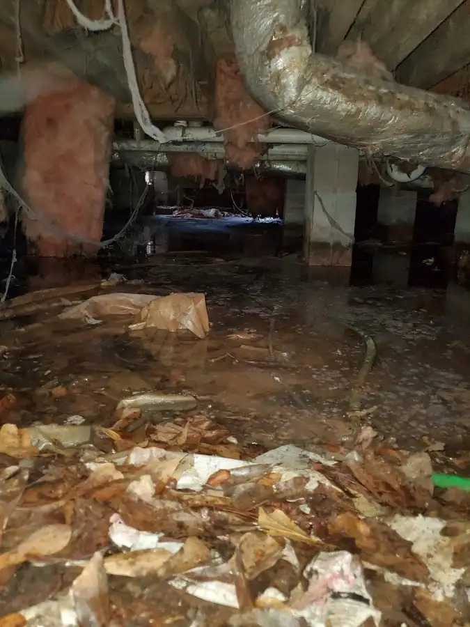 Crawl space flood assessment for Leak Detection & Repair in Surf City
