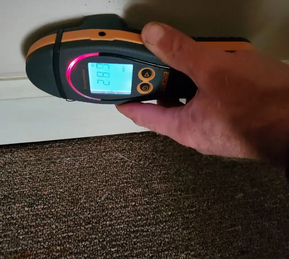 Moisture detection at baseboard during Sewage Cleanup & Sanitation in Surf City